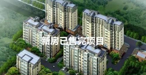 購房指南 揭秘中介套路與樓盤代理風(fēng)險